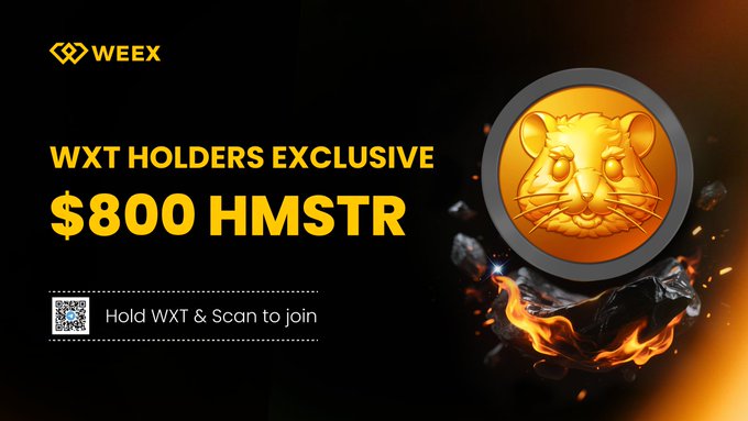The image shows a promotional poster for WXT Holdings Limited, an Australian-based cryptocurrency exchange platform. It features a gold cat coin with a fire symbol in the middle against a black background. The post is advertising a "W XT holders exclusive" offer where users can purchase up to $800 worth of hedge funds using their WXT wallet. The text on the poster encourages users to participate by holding WXT, screen sharing their wallet, or joining via bot t.me/WEEX_WXT_Holde and filling out the form: forms.gle/AozqDH13VL9VXb ... 100 Winners - Don't miss".