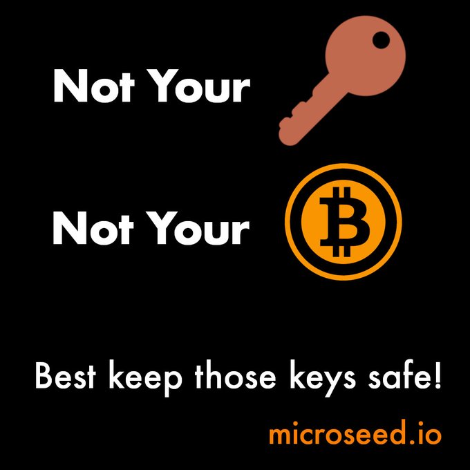 A black promotional graphic with 'Not Your 🔑 Not Your ₿ - Best keep those keys safe!' and the website 'microseed.io' displayed in orange text.
