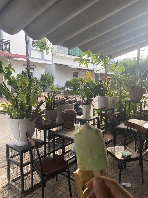 A hand holding a popsicle in the foreground of an outdoor café setting with numerous potted plants, wooden tables and chairs arranged under a canopy with buildings visible in the background.