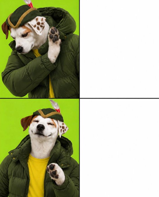 A meme template with two panels on the left showing a dog in a green puffy jacket and a feathered hat on a green background, showing different poses with empty white boxes on the right.