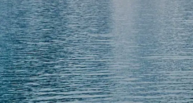 A close-up view of rippling blue-gray water surface with sunlight reflecting off the waves.