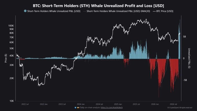 BTC price chart from 2022-2026 showing Short-Term Holders (STH) Whale Unrealized Profit and Loss, with the white price line ranging from $10K to $100K and blue/red profit-loss bars.