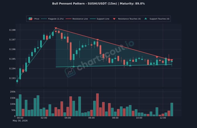The image shows a close-up of a chart for bull pennant patterns, specifically focusing on SUSHI/USDT pairs or Japanese options. The chart displays several bars with different heights representing various price points of these options over time. There are also price points labeled and colored to provide visual clarity. In the background, there is text that provides context about bull pennant patterns and their relation to trading options like SUSHI/USDT (15m).