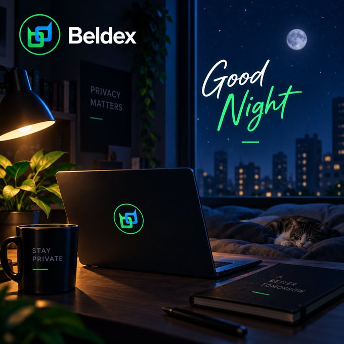 A 'Good Night' promotional graphic for Beldex cryptocurrency, showing a laptop with the Beldex logo, a coffee mug reading 'STAY PRIVATE', a notebook, and a sleeping cat by a window with a city night view.