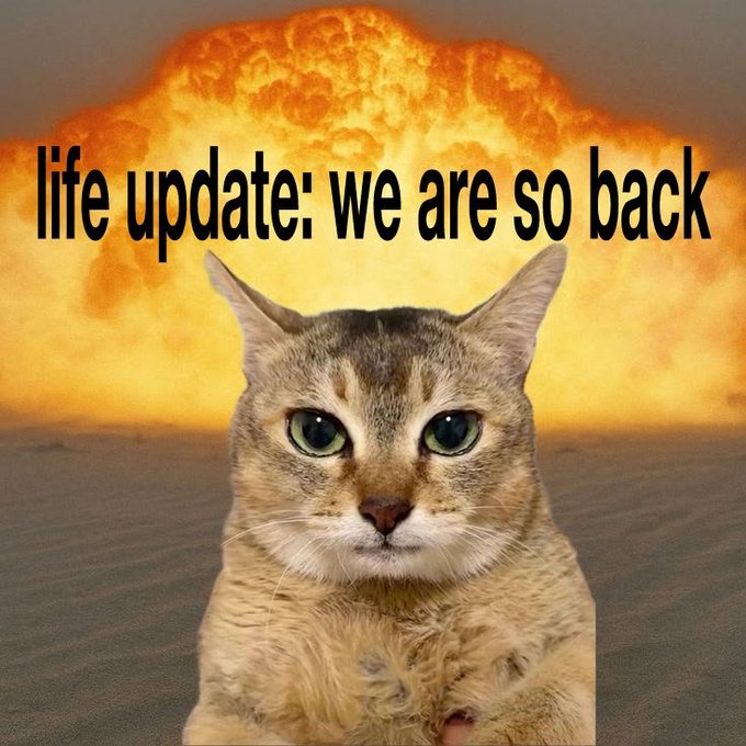 A meme image showing a serious-looking tabby cat superimposed over a massive orange explosion, with the text "life update: we are so back" overlaid in black.