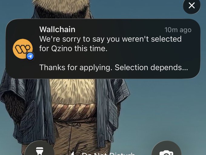 A notification from Wallchain appearing over a cartoon character, stating: "We're sorry to say you weren't selected for Qzino this time. Thanks for applying. Selection depends..."