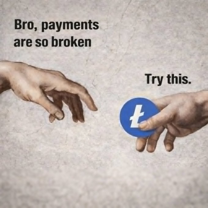 The image features a hand holding a blue coin with a white "LTC" symbol, which is likely an advertisement for Bitcoin or another cryptocurrency. The text above the coin reads "Bro, payments are so broken. Try this." This statement suggests that the coin might be used as payment and implies that traditional payment methods are broken. The image also includes a quote about ecosystems trying to assemble half of what $LTC already has running in production, which could be related to the coin's potential use for transactions within the cryptocurrency ecosystem.