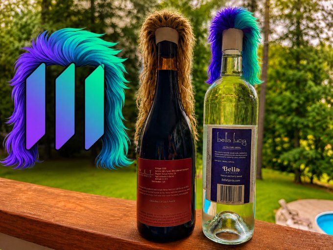 Two wine bottles (one red, one white) sitting on a wooden railing outdoors, each topped with a colorful furry wig (purple/blue and teal/purple), with the VideoDuck logo superimposed on the left side.