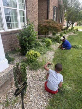 Two young boys are crouched in the grass and gravel landscaping beside a brick house, examining plants and small bushes in the front yard.