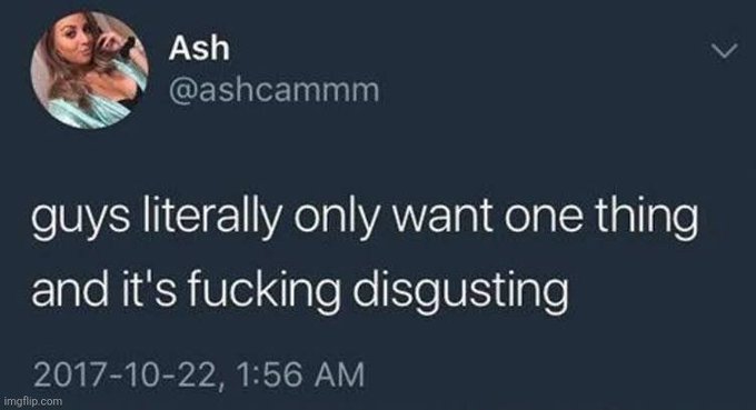 A screenshot of a tweet from user "Ash" (@ashcammm) dated October 22, 2017, reading "guys literally only want one thing and it's fucking disgusting." The image relates to the post's message about men objectifying women, as the tweet expresses frustration about how men reduce women to their bodies.
