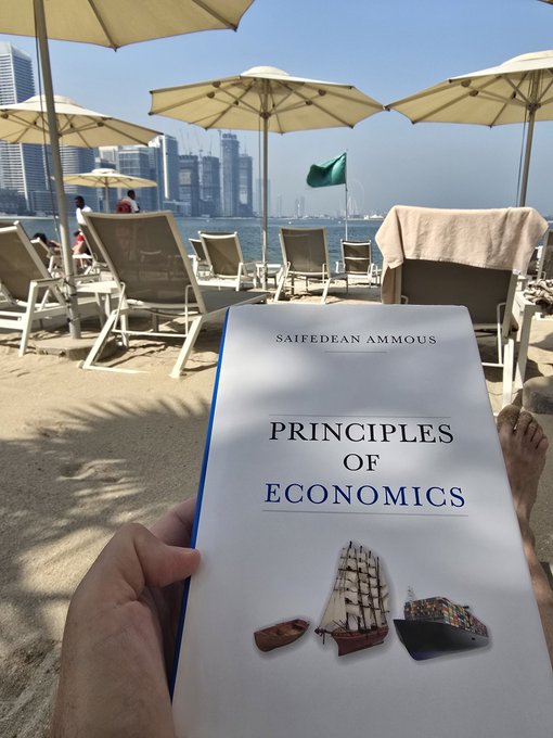 A hand holding Saifedean Ammous's book 'Principles of Economics' at a beach with lounge chairs, umbrellas, and a city skyline in the background.