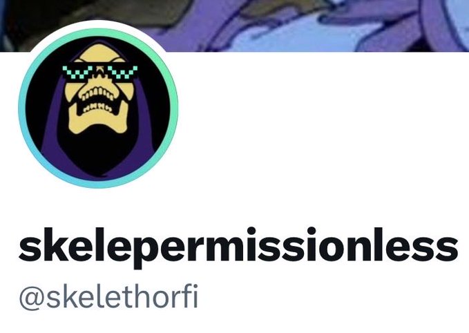 A profile picture showing a cartoon skull wearing pixelated sunglasses and a purple cloak, with the username 'skelepermissionless' and handle '@skelethorfi' below it.