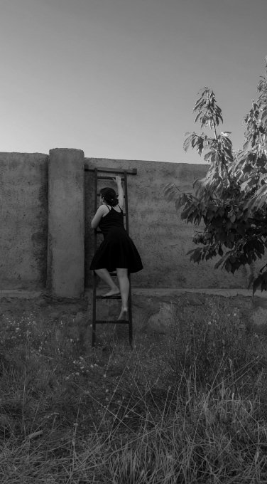 A black and white photograph of a woman in a dark dress climbing a wooden ladder against an old, weathered wall, with a leafy plant to the side.