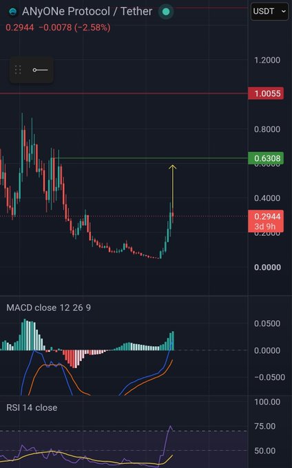 A TradingView-style candlestick chart for 'AnYONe Protocol / Tether' (ANY) showing a price of 0.2944 (-2.58%) against USDT, with MACD and RSI 14 indicators displayed below.