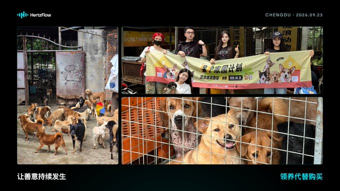 The image is a collage from HertzFlow (Hertzflow) dated 2024.09.23 in Chengdu, showing volunteers holding a banner for the "Taichong Sterilization Program" (泰宠家呵计划) alongside photos of dogs at what appears to be an animal shelter. The post celebrates how trader "路遥" (Lu Yao) donated his HertzFlow trading competition prize money to support animal welfare efforts.