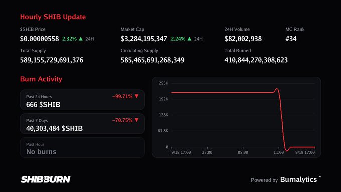 A Shiba Inu (SHIB) update dashboard displaying market stats and a burn activity chart showing a sharp decline in burn rates over the past 24 hours.
