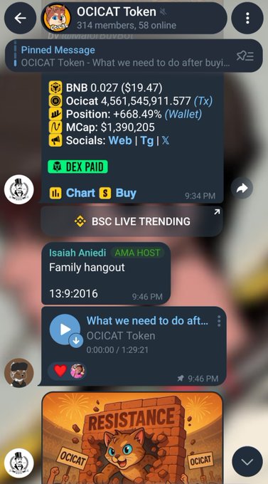 A Telegram group chat for 'OCICAT Token' (314 members, 58 online) showing pinned message with BNB price ($19.47), token address, position, market cap, and various messages including 'BSC LIVE TRENDING' and a 'RESISTANCE' graphic.