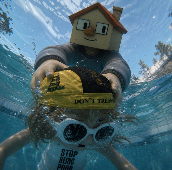 An underwater photo shows a person wearing a house mask, white sunglasses, and a cap reading "DON'T TREAD..." lowering a "STOP BEING POOR" sign toward the camera. The whimsical, meme-style imagery fits the laid-back, ironic humor associated with the ChillHouseSOL community on the FOMO app.