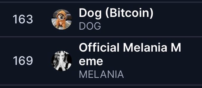 A cryptocurrency ranking list showing Dog (Bitcoin) at rank 163 and Official Melania Meme at rank 169.