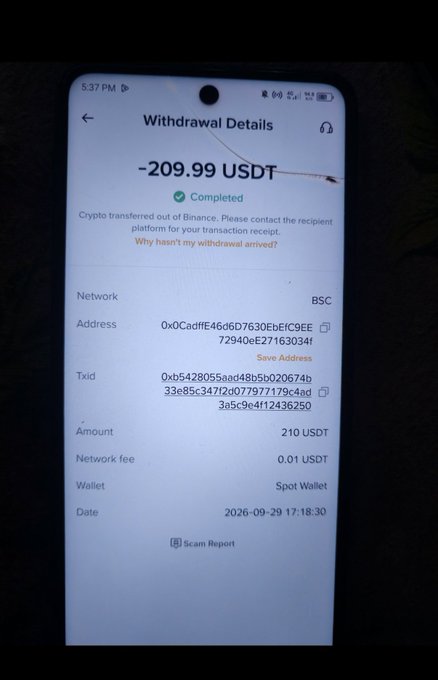 A smartphone screen displays a completed crypto withdrawal of '-209.99 USDT' on the BSC network to address 0x0C..., from a Spot Wallet, dated 2026-09-29 17:18:30.