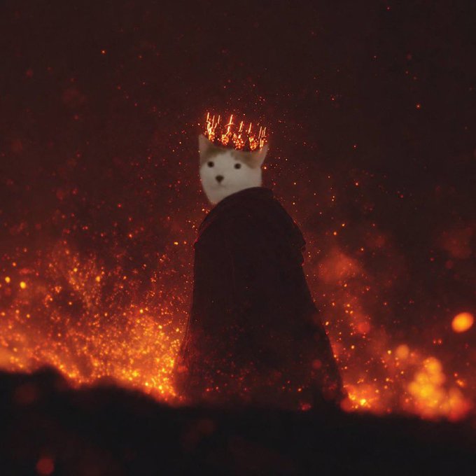 A white dog wearing a dark cloak and a glowing crown, standing against a fiery red background in a dramatic, dark fantasy style.