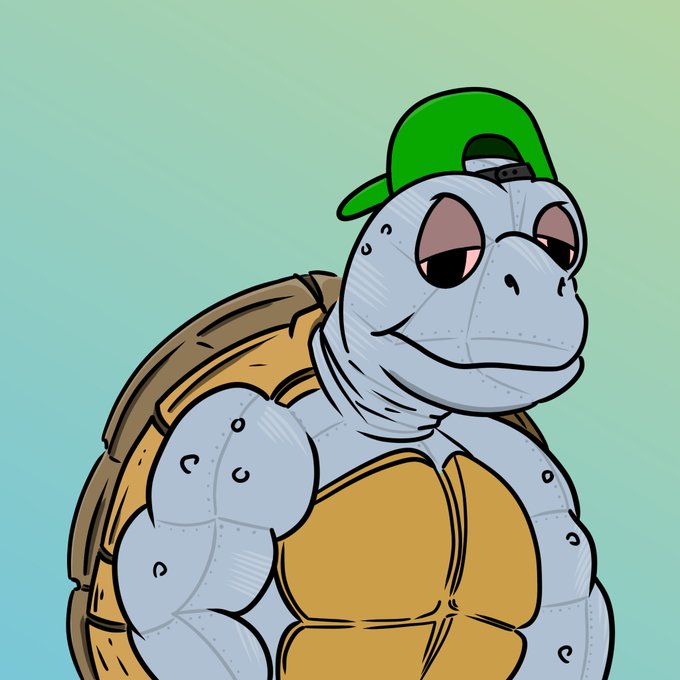 A cartoon illustration features a muscular gray turtle character wearing a green cap backward, smiling confidently against a teal background.