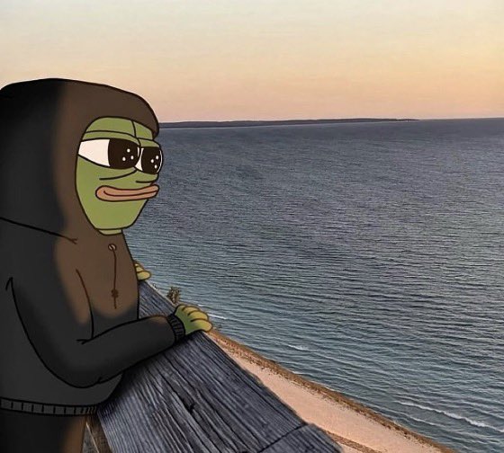 A cartoon Pepe the Frog character wearing a hoodie and sunglasses leaning on a railing overlooking the sea at sunset.