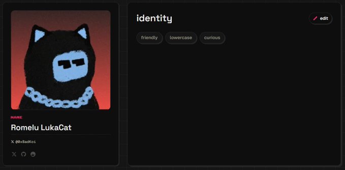 A profile page for Romelu LukaCat (@itsaKo1) shows identity tags 'friendly', 'lowercase', and 'curious', featuring an image of a black cartoon cat with a gold chain.