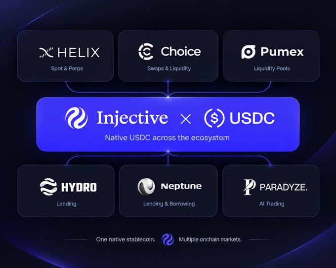 The image is an ecosystem diagram showing native USDC on Injective, highlighting its integration across six platforms: Helix (Spot & Perps), Choice (Swaps & Liquidity), Pumex (Liquidity Pools), Hydro (Lending), Neptune (Lending & Borrowing), and Paradyze (AI Trading) — with the tagline "One native stablecoin. Multiple onchain markets." This visually supports the post's point that USDC has expanded beyond simple transfers into trading, liquidity provision, and lending across Injective's ecosystem.