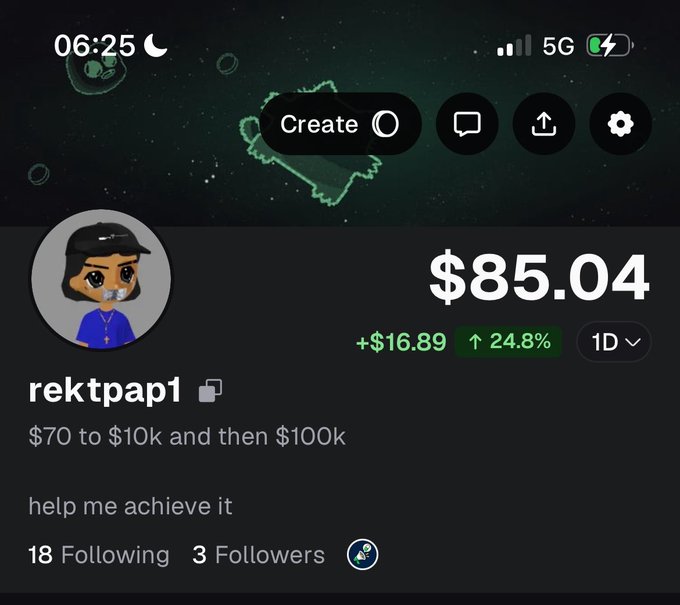 A screenshot of a social media profile shows the username 'rektpap1' with the bio '$70 to $10k and then $100k', displaying a balance of $85.04 with a 24.8% gain.