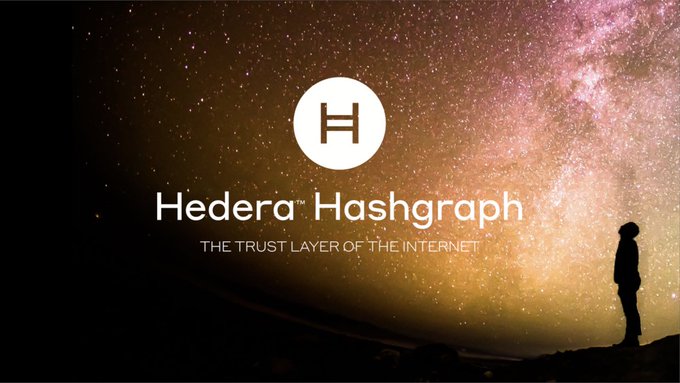A promotional graphic for 'Hedera Hashgraph' with the tagline 'THE TRUST LAYER OF THE INTERNET' displays a silhouette of a person gazing at a starry galaxy.