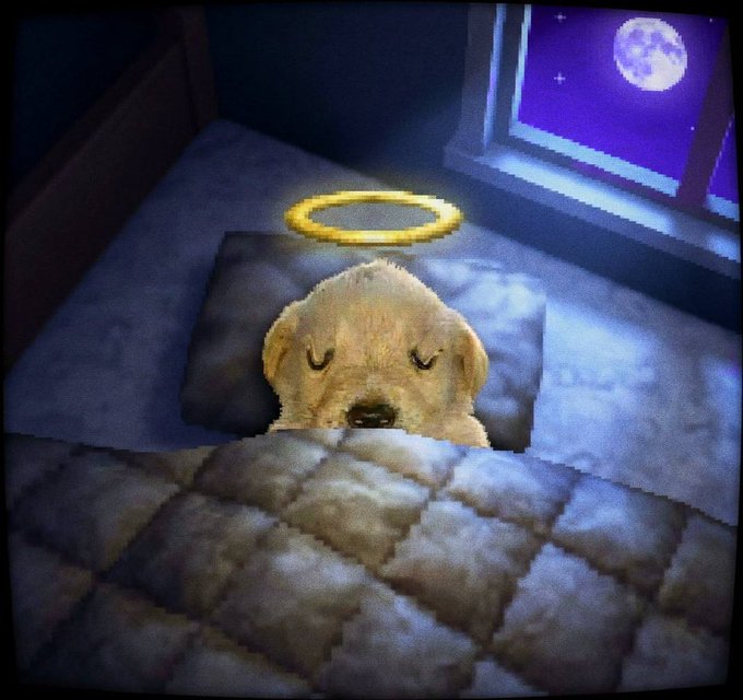 An illustration of a peaceful puppy tucked into a bed with a glowing halo above its head and the moon visible through a window.