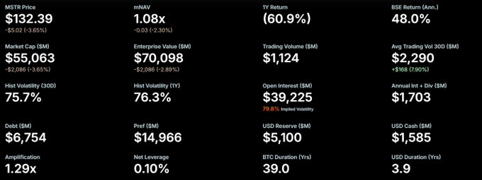 A dashboard of key financial metrics for MSTR (MicroStrategy) showing a steep decline with the stock at $132.39 (-3.65%), 1Y return of -60.9%, and high implied volatility of 79.8%, reinforcing the user's commitment to hold through the red day until reaching $1,000+ targets.