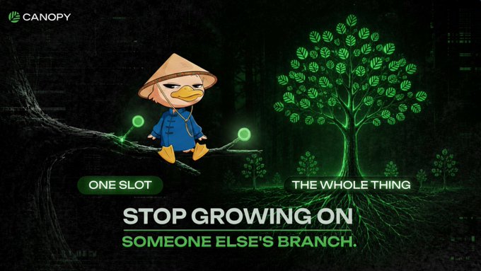 A Canopy advertisement featuring a cartoon duck in a conical hat, contrasting 'ONE SLOT' with 'THE WHOLE THING' tree, captioned 'STOP GROWING ON SOMEONE ELSE'S BRANCH.'