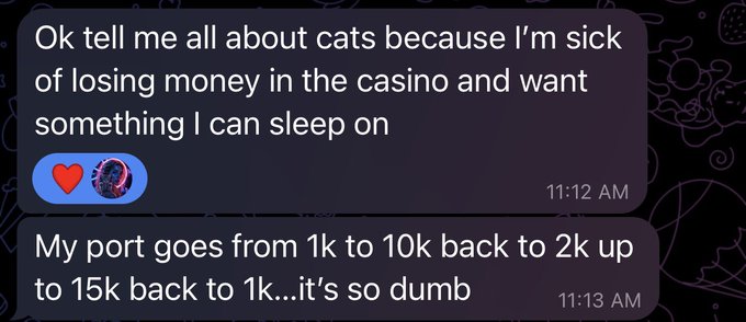 Text messages asking about cats and complaining about a volatile portfolio ranging from 1k to 15k, sent at 11:12 AM and 11:13 AM, with red heart and disco ball emoji reactions.