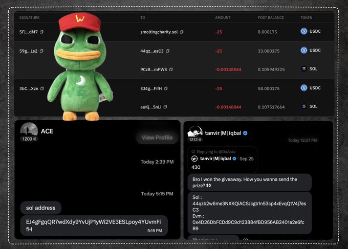 A screenshot of crypto transaction records with a green duck plushie wearing a red cap and yellow 'W', showing USDC and SOL transfers, alongside chat messages from users ACE and tanvir |M| iqbal discussing a giveaway prize of sol address EJ4gFGqQR7wdXdJy9vUjP1yWl2VE3ESLpoy4YUvmFifH.