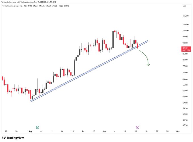 A TradingView candlestick chart of Circle Internet Group, Inc. (NYSE) shows price action with a drawn trendline and a green arrow pointing downward.