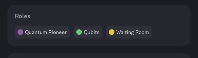 The image displays a "Roles" section on what appears to be a Discord server, featuring three role badges: "Quantum Pioneer" (purple), "Qubits" (green), and "Waiting Room" (yellow). This visually represents the tiered role system mentioned in the post, where users can earn the highlighted "Quantum Pioneer" role by completing the listed steps in the QMS Discord.