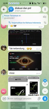 Screenshot of a Telegram group chat titled 'diskusi dan pnl' containing messages about crypto trading with charts, mentions of SOL/USDT and AAVE/USDT at +33.95%, and posts in Indonesian language.