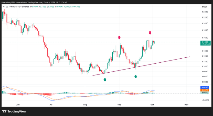A TradingView candlestick chart for IOTE/USDT on Binance, showing a price trend with pink downward arrows and green upward arrows marking potential resistance and support levels.