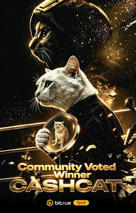 A stylized white cat dressed as a futuristic gunslinger holds up a coin featuring a kitten, with another shadowy feline looming above—visually reinforcing the meme "CashCat" as the community-voted winner of the Clash of Memes competition. Gold text declares "Community Voted Winner: CASHCAT," along with Bitrue and Spot logos, tying into the announcement that $CASHCAT beat $ANSEM to secure a BTR Launchpool slot with rewards dropping today.