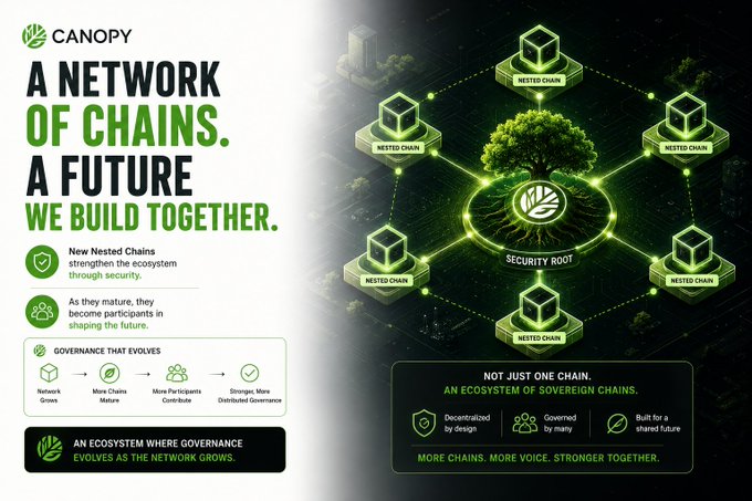 Canopy infographic titled 'A NETWORK OF CHAINS. A FUTURE WE BUILD TOGETHER,' depicting a tree as the 'Security Root' connected to multiple 'Nested Chain' cubes, highlighting decentralized governance and ecosystem sovereignty.