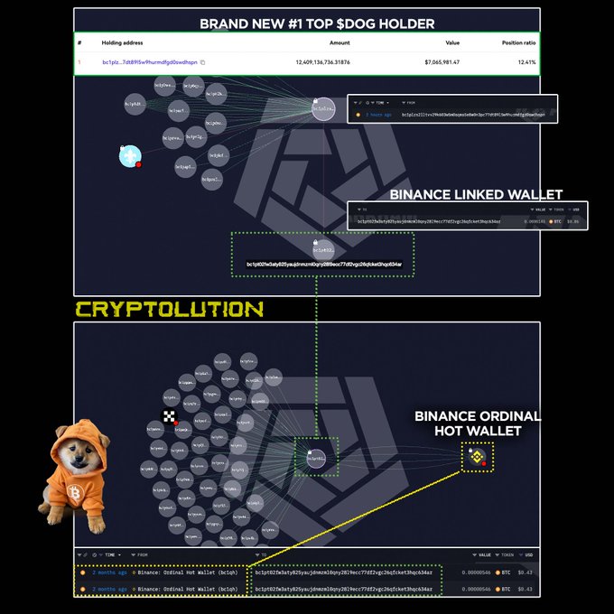 A visualization showing a new #1 top $DOG holder with 12,409,136,736.31876 tokens (12.41% position ratio) valued at $7,065,981.47, connected through a network diagram to a "Binance Linked Wallet" (bc1qs02nd) and a "Binance Ordinal Hot Wallet" (bc1q4027kv), illustrating the connection between the new top holder and Binance's intermediary wallets as referenced in the update.