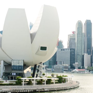 The image shows the ArtScience Museum in Singapore with its distinctive lotus flower-shaped architecture, set against the city's skyline along the waterfront. This iconic landmark visually anchors the post about Temasek, Singapore's state-owned investment firm, choosing to invest in AI rather than crypto following its FTX losses.