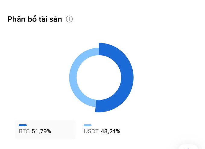 The image features a pie chart that displays the allocation of various asset classes, with Bitcoin occupying 51.79% space and USDT accounting for 48.21%. The remaining portions indicate other asset classes such as Chiến lưuợc hiện tại. There is also a title to the graph that reads "Asset Allocation Update", suggesting it's an update of the previous chart.