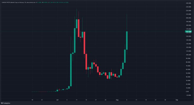 A TradingView candlestick chart of $CASHCAT (Heist Coin) on Shibaswap shows a dramatic price surge, climbing from near $0 to a peak above $200M before pulling back toward the $163.99M level shown on the right axis, visually confirming the "giga candle" rally referenced in the post following its Robinhood US listing.
