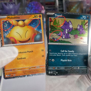Two Pokémon trading cards are held up for comparison: a Japanese 'Makuhita' card on the left and an English 'Toxel' card on the right, with red circles drawn on both to point out specific features.