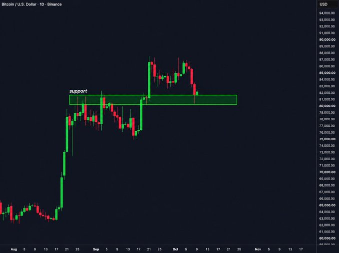 A Bitcoin/U.S. Dollar daily candlestick chart on Binance shows a green 'support' zone highlighted around the $80,000 level, with price action ranging from approximately $60,000 to $94,000.