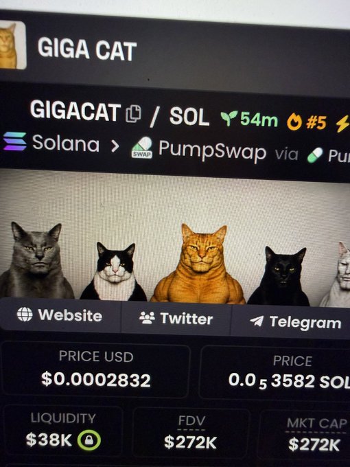 A PumpSwap page for the GIGACAT token on Solana, priced at $0.0002832 with 0.0₅3582 SOL, $38K liquidity, $272K FDV, and $272K market cap, featuring five cat images of varying colors.