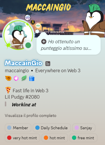 The image shows a social media profile for "Maccaingio" (username maccaingio) featuring a penguin avatar with a green mohawk, with highlights including "Daily Schedule," "Lil Pudgy #2080," and tags for minting levels (very hot mint, hot mint, free mint). The post references joining a platform and making quick returns from "Robinhood NFTs," which connects to the profile's emphasis on "Fast life in Web 3" and the prominence of "Lil Pudgy #2080" NFT alongside the visible minting tier tags.